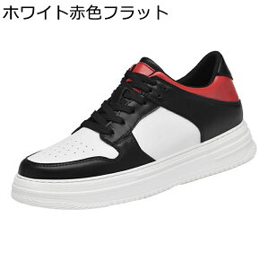 4/6/8cm JWAV[Y Y wȂC Xj[J[ ؂ւ vC h h \tg jp  [XAbvV[Y EH[LO RtH[g X|[c ʋΒʊw 