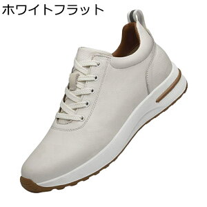 wȂC Xj[J[ Y  JWA 5CMAbv XP[g{[hV[Y [XAbv U[ V[NbgV[Y ₷  傫TCY ʋC h [Jbg X|