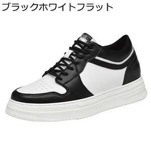 V[NbgC JWAV[Y Y Xj[J[ 4/6/8cm vC 傫TCY  XP[g{[hV[Y ₷ ϋv y h tbg jO X|[c p ₷