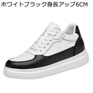 V[NbgC JWAV[Y Y Xj[J[ vC 6/8/10cmAbv 傫TCY  XP[g{[hV[Y ₷ ČC ~ l tbg X|[c AEghA ^C