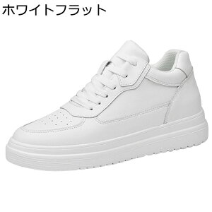 V[NbgC JWAV[Y Y Xj[J[ vC 6/8/10cmAbv 傫TCY  XP[g{[hV[Y ₷ ČC ~ l tbg X|[c AEghA ^C