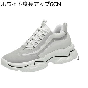 JWAV[Y Y ^C X|[c  6/8/10cmAbv V[NbgV[Y Xj[J[ vC tbg jO [XAbv h ʋC \tg  j ʋΒʊw 