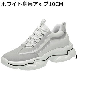 JWAV[Y Y ^C X|[c  6/8/10cmAbv V[NbgV[Y Xj[J[ vC tbg jO [XAbv h ʋC \tg  j ʋΒʊw 