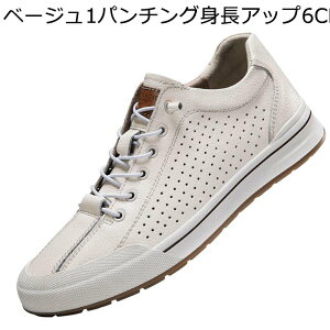 wȂC V[NbgV[Y Xj[J[ Y 6cmAbv JWA EH[LOV[Y [XAbv vC ₷  ʋC L l h [Jbg AEghA ^