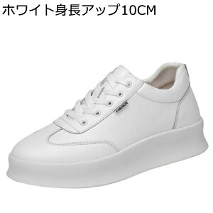 wȂC V[NbgC Xj[J[ Y 6/8/10cmAbv  JWA EH[LOV[Y [XAbv U[ ʋC \tg h y [Jbg ₷ NVbN