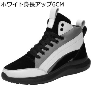 V[NbgV[Y JWAV[Y Y 4/6/8cmAbv nCJbg Xj[J[ U[  XPV[ ₷ ʋC h tbg EH[LOV[Y ʋΒʊw ^C 