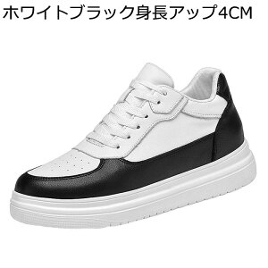 JWAV[Y wȂC Y 傫TCY  4/6/8/10cmAbv Xj[J[ vC XPV[ EȒP ϋv y h tbg fbLV[Y X|[c AEghA ^C