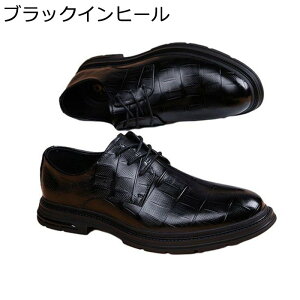 V[NbgV[Y rWlXV[Y Y vC 5cmAbv [XAbv  LC ʋC ~ hL r JWA EH[LOV[Y tďH  l EFfB