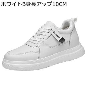 6/8/10cmAbv JWAV[Y wȂC Y Xj[J[ vC 傫TCY  XPV[ ~ L l tbg EH[LOV[Y ʋ ʊw ^C Sn