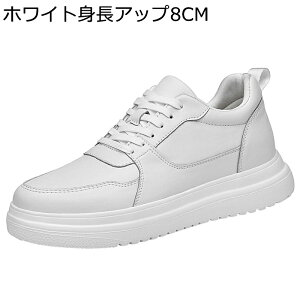 6/8/10cmAbv JWAV[Y wȂC Y Xj[J[ vC 傫TCY  XPV[ ~ L l tbg EH[LOV[Y ʋ ʊw ^C Sn