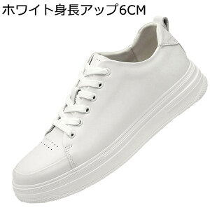 XP[g{[hV[Y Y V[NbgC Xj[J[  6cmAbv U[ ďH tbg jOV[Y [XAbv h L l tbg ^C ItBX ʋΒʊw N