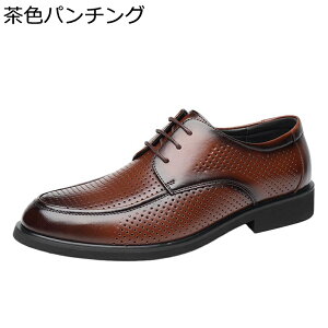 rWlXV[Y Y hXV[Y vC ł _[r[V[Y h h \tg z[Jbg x[VbN [XAbv ItBX ʊw ʋ ̓ NVbN I[V[Y a