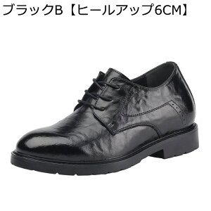 rWlXV[Y Y V[NbgC {v 6/8cmAbv [XAbv ʋC y ~ jp Vv  JWA EH[LO  l  ʋΗp tH[}