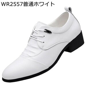 rWlXV[Y Y wȂC  U[ 6cmAbv [XAbv L h Ղ x[VbN JWA EH[LO RtH[g amC ގ r^j ʋ l