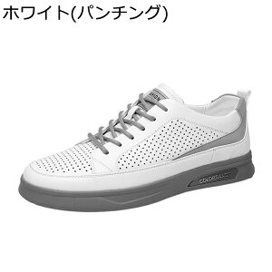 Xj[J[V[Y [XAbvV[Y JWAV[Y Y U[ ₷ mXbv Ȃ L ϋv lGKp  l Ǝ s fC[