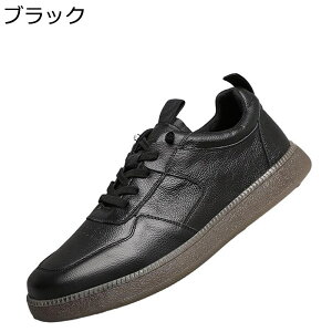 Y U[ v [t@[ JWAV[Y ϋv ʋC Sn悢  RtH[g Xj[J[ C\[t [XAbv jp  p[eB  Ep ItBX