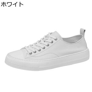 U[ {v Y JWAV[Y ʋC ~ [XAbvV[Y ϋv RtH[g NbV JbRCC _ gAbv lGKp s v[g AE 