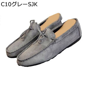 JV [t@[ Y XbvI PUU[ JWAV[Y ʋC ԗ hCrOV[Y LoXV[Y  I[V[Y ʋΗp E EH[LO 