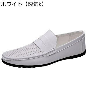 [t@[V[Y Y JV  hCrOV[Y XbvI I[V[Y ꂢ 傫TCY X[X E₷ ʋC {[CY R[` U Ў w