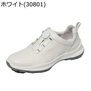 Xj[J[V[Y Y fB[X {v JWAV[Y ʋC Ȃ ₷ ~ _ RtH[g L y ԗ wC  I[V[Y l