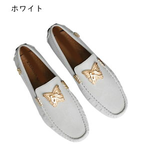 [t@[ hCrOV[Y JV Y U[  傫TCY ^bN {v XG[h XbvI 芴 ʋC  [q[ j w tHĒ ItBX