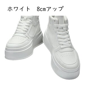 Xj[J[ JWAV[Y Y V[NbgV[Y nCJbg C XP{[V[Y [XAbv ʋC ~ ʋC X|[c V[Nbgu[c