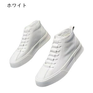 Xj[J[ Y JWAV[Y XP[g{[hu[c [XAbv C h ؍  jp y ~ ʋC K ₷ X|[c tH