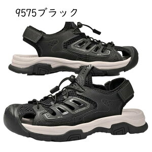 X|[cT_ Y r[`T_ RtH[g  ₷ ₷ ʋC AEghA ~ ܐی NC~O s  V Xj[J[ 傫TCY