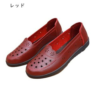 }}V[Y fB[X [t@[ wlC JV y^R Xb| ʋCbV tbgpvX [q[ EȒP Sn \tg tďH o ʋ i GK