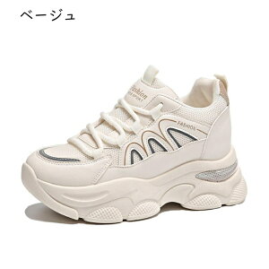 6.5cm fB[XXj[J[ X|[cV[Y [XAbv r ɂ ϖ  Ռɘa C _ g[jO EH[LO X|[c JWA s o ˊO