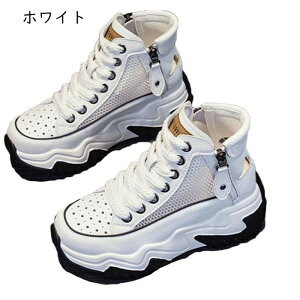 Xj[J[T_  bV fB[X [XAbv nCJbg 7cmq[ N[YhgD TChWbv  gO h JWA Ȑ Xj[J[ X|[c W[ Oo