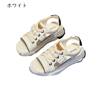  X|[cT_ fB[X TCY w6cmȂ [XAbv I[vgD [Jbg   Xj[J[ 킢 ʋΒʊw vbgtH[ W[p