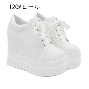 ANu[c  fB[X V[gu[c Xj[J[u[c 12CMq[ [XAbv nCq[ Cq[ vbgtH[ EFbW\[ H~ ~ ʊw i zCg