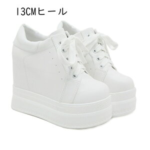 ANu[c  fB[X V[gu[c Xj[J[u[c 12CMq[ [XAbv nCq[ Cq[ vbgtH[ EFbW\[ H~ ~ ʊw i zCg