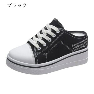 T{T_ fB[X Cq[Xj[J[  LoX Xbp JWAV[Y ƂȂ [XAbv ʊw gUP E֗ 7cmAbv EH[LO _炩 V[N