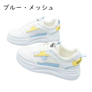 Xj[J[ tbg bV fB[X [Jbg XNGAgD jO EH[LO WMO h NbV RtH[g E֗ L r b  i ʋ O