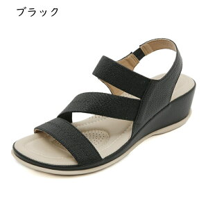 EFbW\[T_ fB[X I[vgD Xb| 5cmq[ tďH n [q[  r[`T_ JWA ϖՐ ʋC h RtH[g E֗ s ʊw