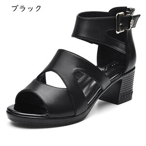 nCq[ OfBG[^[T_ ߃q[ fB[X ZNV[ L h I[vgD 傫TCY h Ȑ ʋC Xgbv T}[T_ s ][g W[ O/