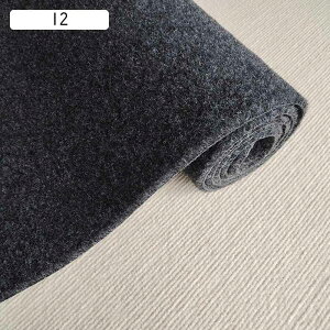 唻 LJ[ybg 1.2m*5m  ~ ƖpO DƂ փ}bg O z  L~ z[ Ki `FA}bg ^C}bgJ[ybg ΍ OJ[ybg