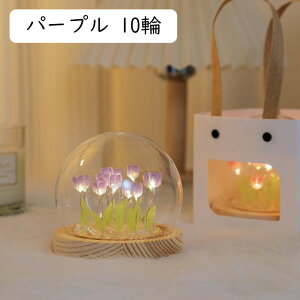 iCgCg  `[bv LEDCg CeA dr/USBCg 铔 ԐڏƖCg Cg KX ?/铔/Cg   IWi ̎q 