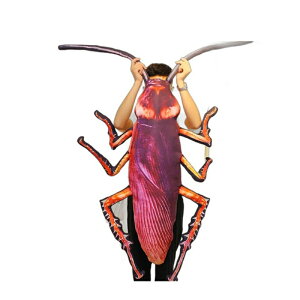 SLu ʂ  SLuNbV A   {  傫 YQ D \t@[w t@Xi[t _炩 ގ FB Mtg v[g \