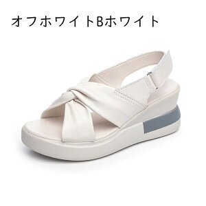 {v T_ T_ fB[X EFbW\[ fC[ y RtH[g Vv ItBX E ԗ É ₷ ʋC NbV ~ Xb| RۖhL