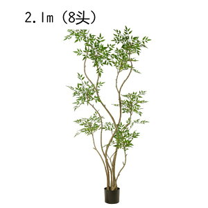 lHϗtA ^  lHϗt K[f JtF Lb` xbh[ tFCNO[  j i` fRp _ԂɍœK ͂Ȃ sv b炸