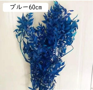  ppXOX 60cm t[u[P v[g ԃu[P tFCN  o^Cf[ v[g K[th  w AWg CeA EBhE{bN