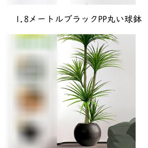 ze hZi rO [ ɒuA  ^  tFCNO[ lH~  fRp ͂Ȃ sv b炸 { _ԂɍœK Mtgɂ