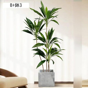 tFCNO[  A Mъϗt hZi lHϗtA CeAO[ lHt ^Ηt { ϗtA ϗt lHA ͂Ȃ sv A 