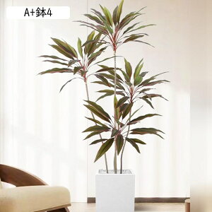 tFCNO[  A Mъϗt hZi lHϗtA CeAO[ lHt ^Ηt { ϗtA ϗt lHA ͂Ȃ sv A 