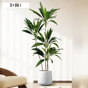 tFCNO[  A Mъϗt hZi lHϗtA CeAO[ lHt ^Ηt { ϗtA ϗt lHA ͂Ȃ sv A 