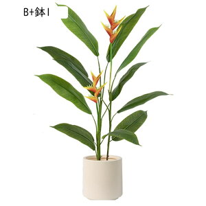 lHϗtA Ɋy SNN`EJ Xg`A A { CeAO[ tFCNO[ ^ ͂ȂO[ lHA ϗtA 蕨 v[g 