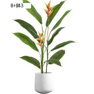 lHϗtA Ɋy SNN`EJ Xg`A A { CeAO[ tFCNO[ ^ ͂ȂO[ lHA ϗtA 蕨 v[g 